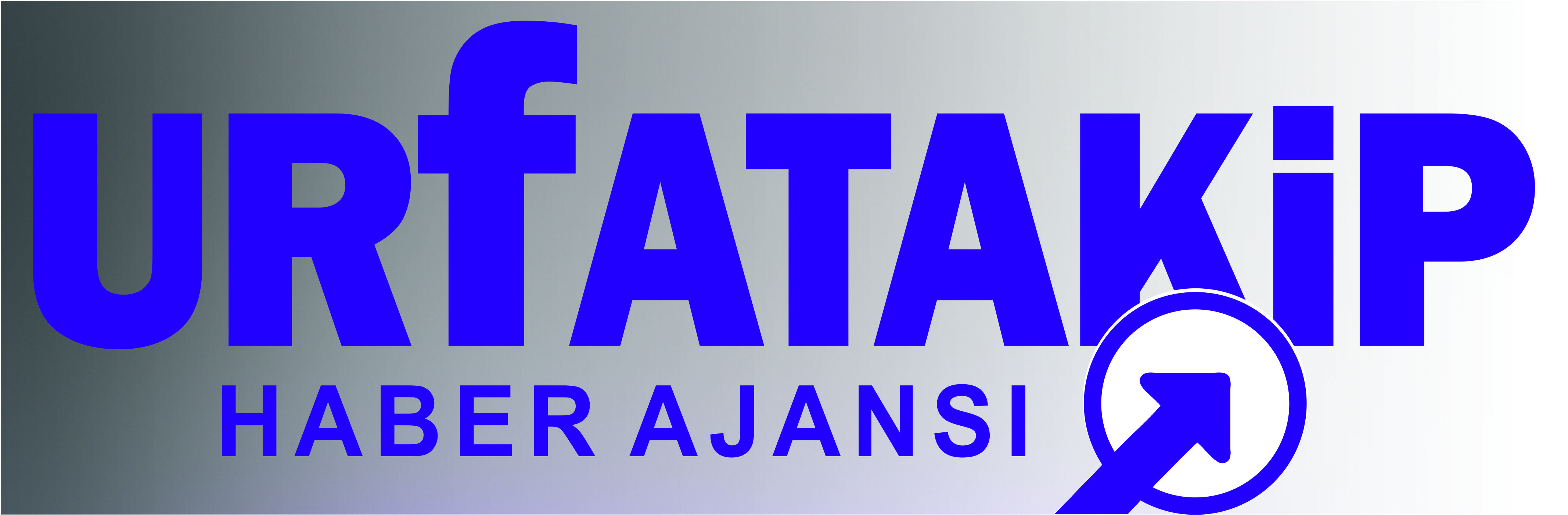 Anasayfa