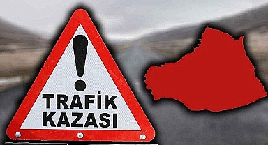 Urfa'da feci ölüm!