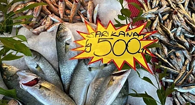 Balık çeşidi az olunca fiyatlar yükseldi