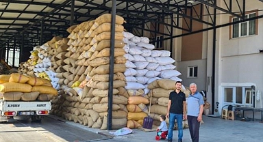 Fındık fiyatındaki artış üreticiyi sevindirdi