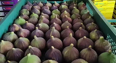 Kraliçe incirinde fiyat oyunu