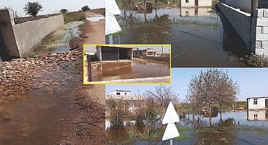 Suruç'ta yüzen evler! Gözler DSİ'de
