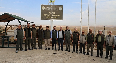 Şıldak “Urfa ceylanı ülkemizdeki nadide türlerden biri”