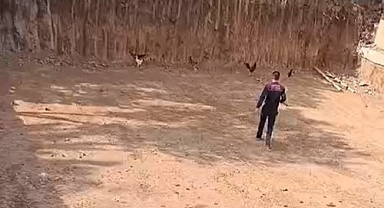 İtfaiye ekiplerinden ’tavuk kurtarma’ operasyonu