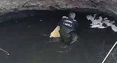Sarnıca düşen kazların imdadına itfaiye ekipleri yetişti