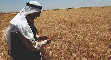Urfa çiftçisine şok!