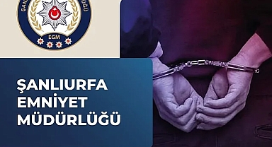 Urfa Emniyetinden operasyon: 15 gözaltı