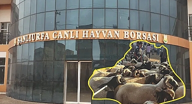 Borsanın 2023 verileri açıklandı