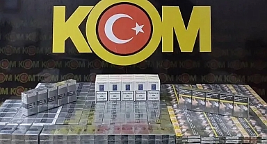 Viranşehir'de operasyon: Gözaltılar var