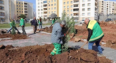 Seyrantepe'de 21 bin metrekarelik yeşil alan için çalışmalar sürüyor