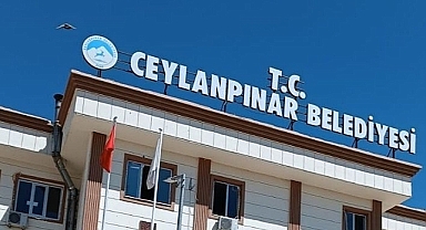 Ceylanpınar Belediyesi yeni eş başkanı belli oldu