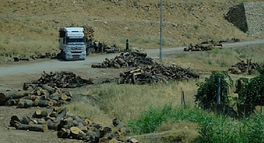 Şanlıurfa Orman Bölge Müdürlüğü'nün başı ağrıyacak!