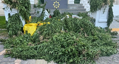 Şanlıurfa’da narkotik operasyonunda büyük başarı