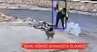En ufak insanlık belirtisi yok!