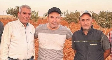 Ferhat Göçer, Fıstık ağaçlarının bekçisi oldu!