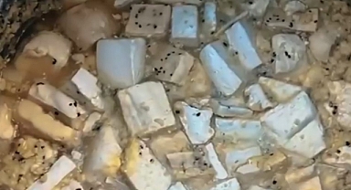 İnsan sağlığı kimin umurunda ki!