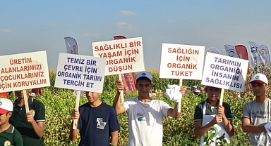 Pamuk hasat şenliğiyle Şanlıurfa’da organik tarım seferberliği!