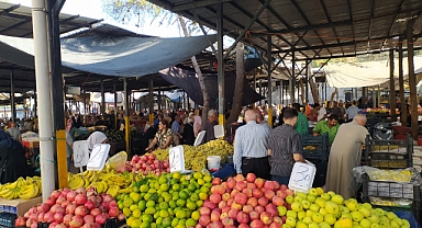 Tarımın Başkenti Urfa, sebzede Mersin'e mahkûm!”