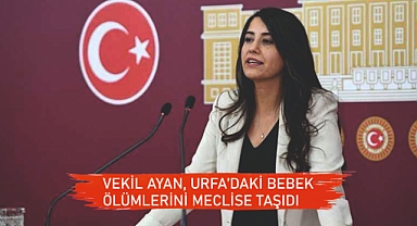 ‘Yenidoğan çetesi' Urfa'ya sıçradı mı?