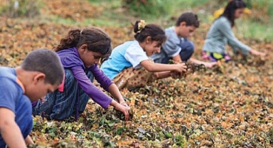 Çocuk işçiliğini bitirme düşüncesinden şartlara uyarlanan projelere...
