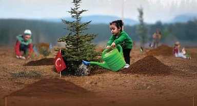 Geleceğe nefes: Şanlıurfa milyonlarca fidan dikecek!