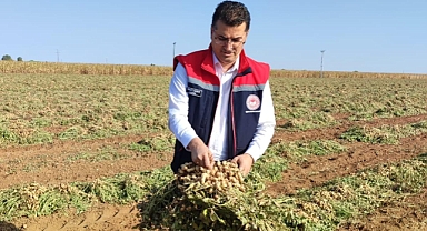Şanlıurfa'da tarımda sıçrama: 10 Bin dekara ulaştı!