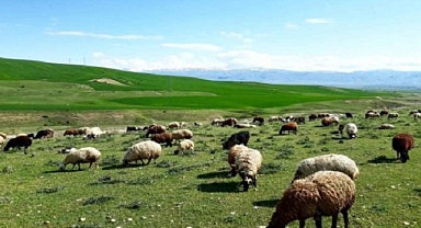TOKİ: Mera satışıyla ev yapmak mı, gelecek satmak mı?