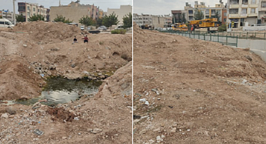 Urfa'nın 'Sosyal İlerleme' Modeli!