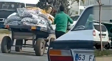 Atın Çilesi, Yaptırıma Dönüştü: Şiddete Son!