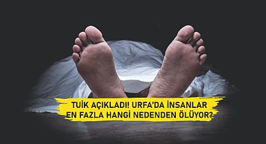 Bir yıl, binlerce acı!