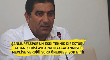 Bu ne perhiz bu ne lahana turşusu