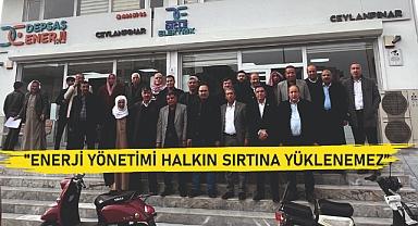 Elektrik çilesi bitmiyor! Ceylanpınar muhtarları çözüm istedi