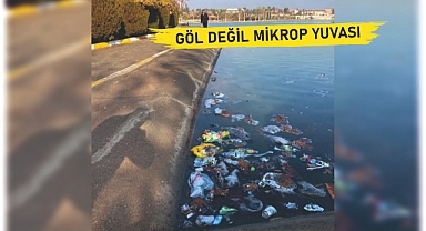 Harran Üniversitesi’nde utanç tablosu!