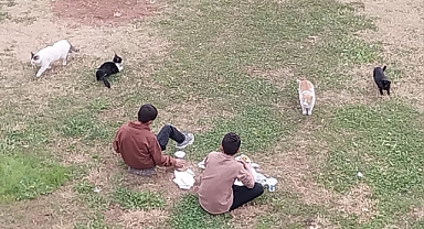Kendileri küçük yürekleri büyük...