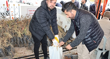 Ücretsiz fıstık fidanları çiftçilere ulaştı