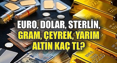 DOLAR VE ALTIN NE KADAR OLDU? | 15 Ocak 2025 Döviz ve Altın Kurları