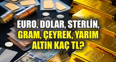Dolar ve Altın Ne Kadar Oldu? 27 Ocak 2025 Altın ve Döviz Kurları