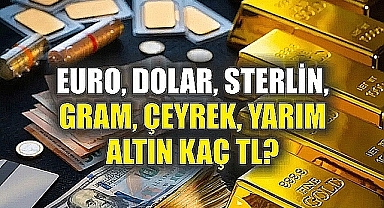 DOLAR VE ALTIN NE KADAR OLDU? | 9 Ocak 2025 Döviz ve Altın Kurları