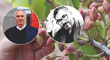 Şanlıurfa Fıstık Üreticileri Birliği, Yeni Başkanını Seçiyor!