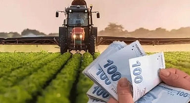 Şanlıurfalı çiftçi ne ekerse ne kadar destek alır? İşte ilçe ilçe yanıtı…