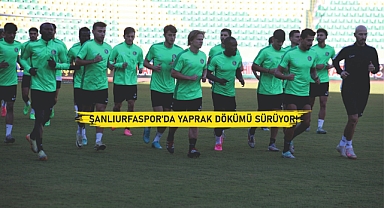 Şanlıurfaspor'da sürpriz ayrılık!