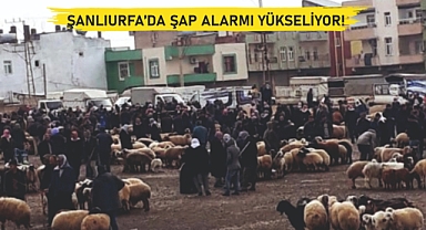 Siverek, Bozova derken şimdi de Viranşehir…