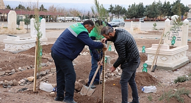 Urfa’daki mezarlıklarda ağaçlandırma hamlesi