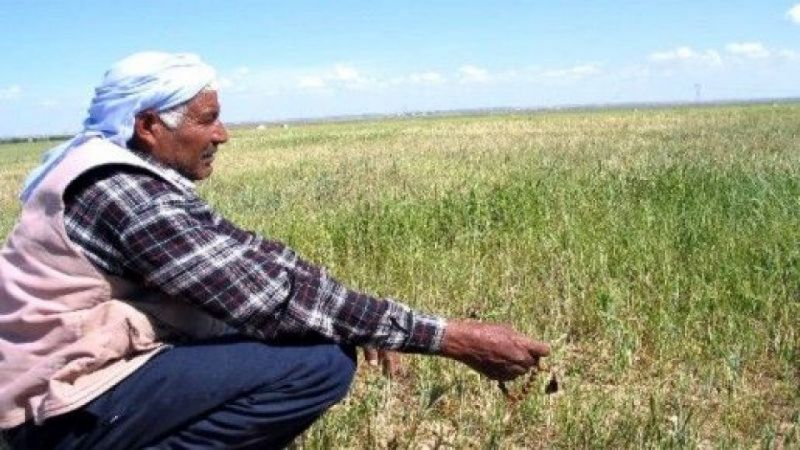 Urfa çiftçisine sıfır faizli kredi imkanı