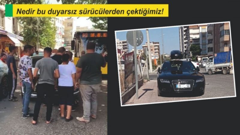 HAHO ELİZDEN!