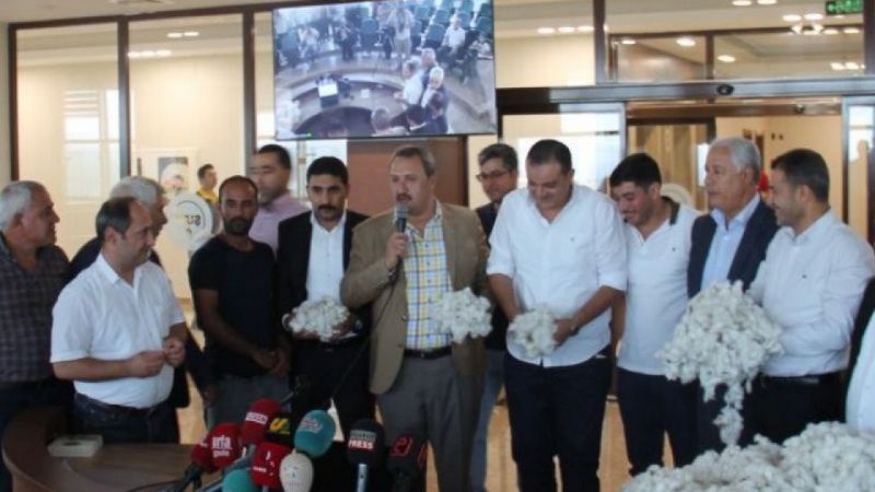 ŞUTB'da ilk ürün heyecanı