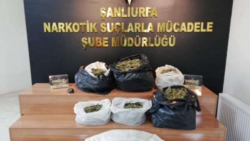 Haliliye’de operasyon: 1 gözaltı