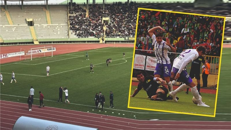 Ceylanlar evinde kayıp!