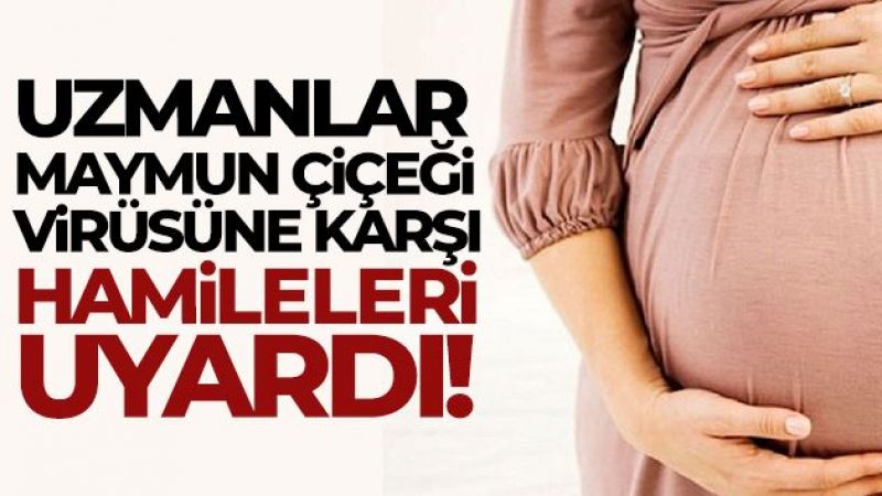 Uzmanlar maymun çiçeği virüsüne karşı hamileleri uyardı