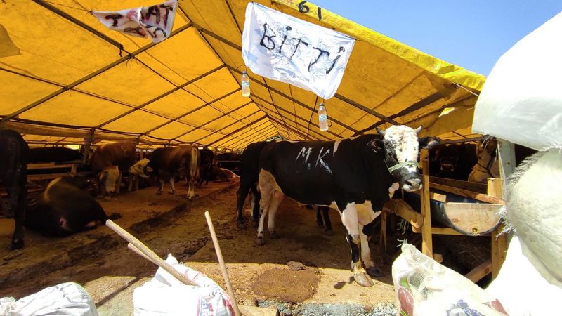 Kurban pazarında 'bitti' yazıları asıldı